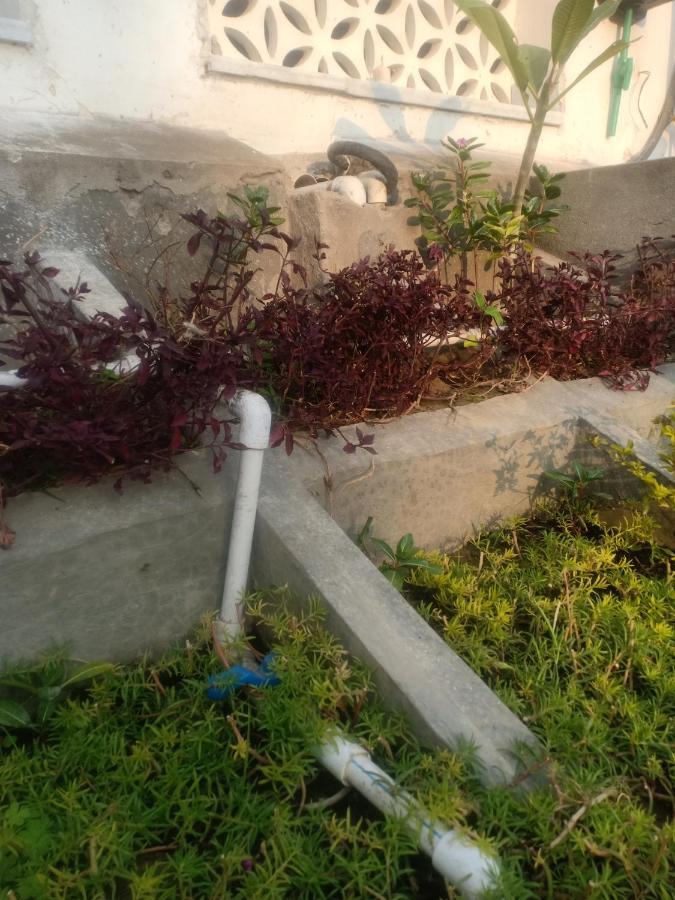 Hn Palace Homestay Agra  Exterior photo